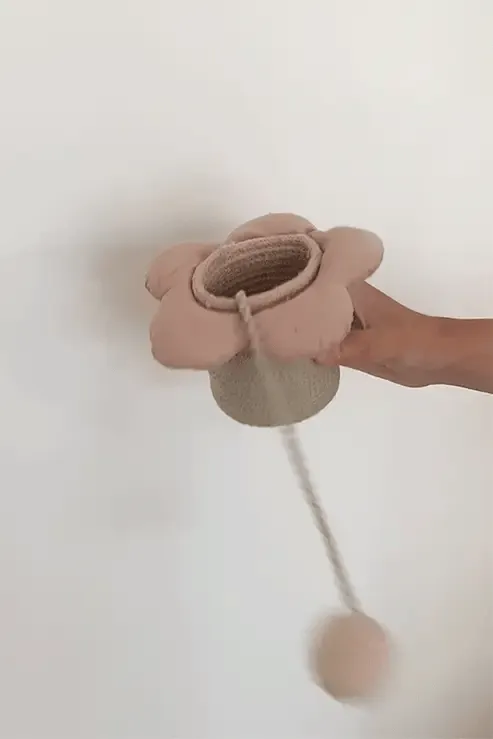 Cup   Ball Flower Toy